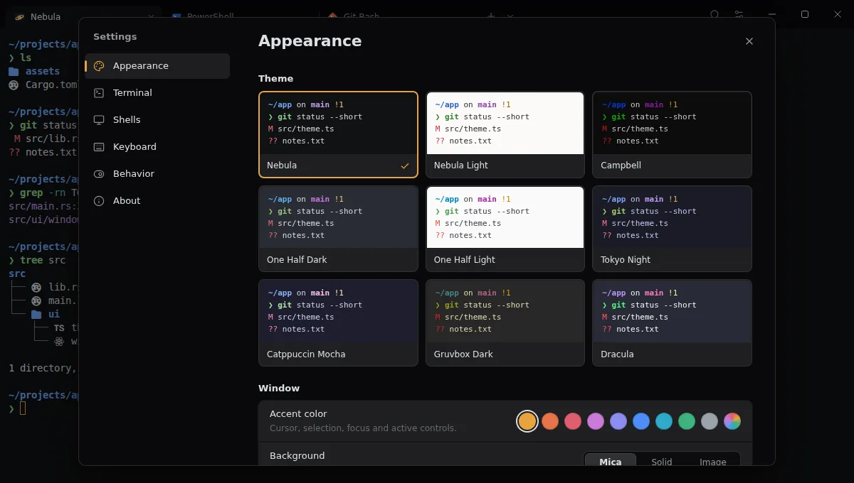 The Appearance settings with nine terminal themes and accent colors